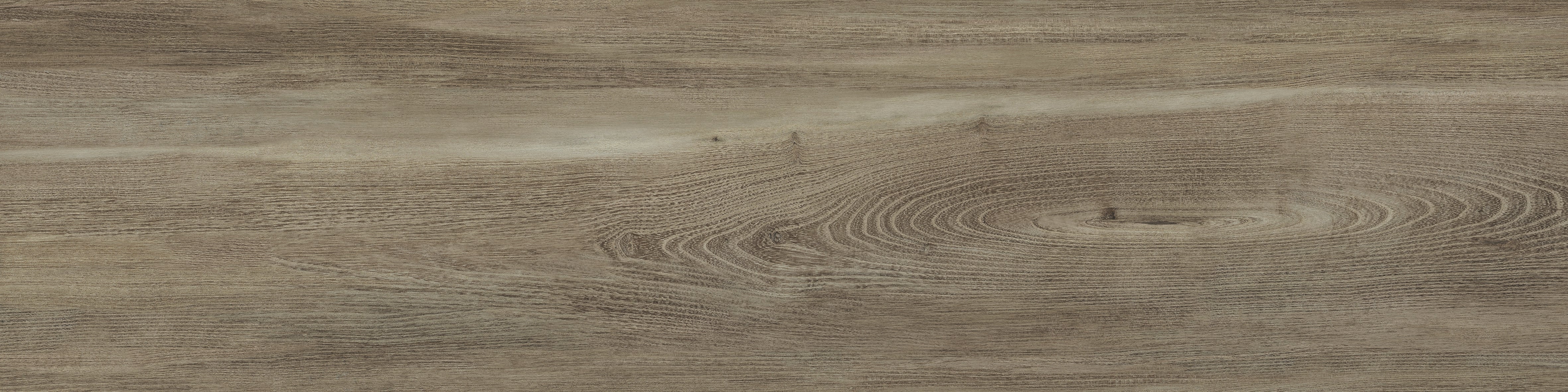 Irish Walnut - 30X120 - Matt Wood Porcelain