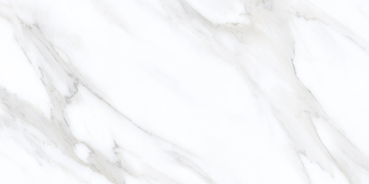 Frost Silver 30X60 - Polished Porcelain