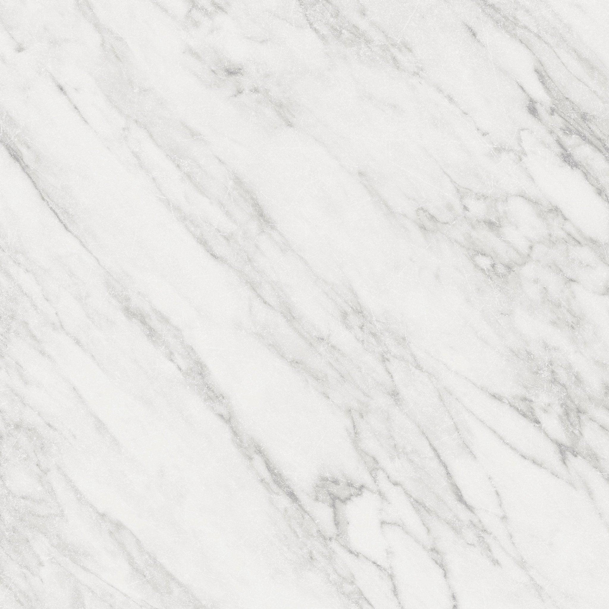 Carrara Termateo 60X60 - Matt Porcelain - Tile&Bath