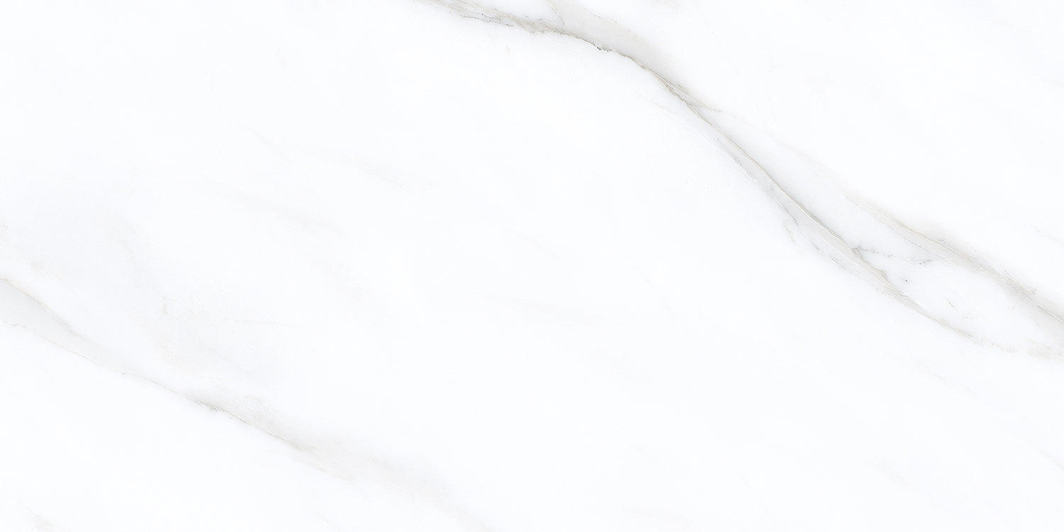 Frost Silver 30X60 - Matt Porcelain