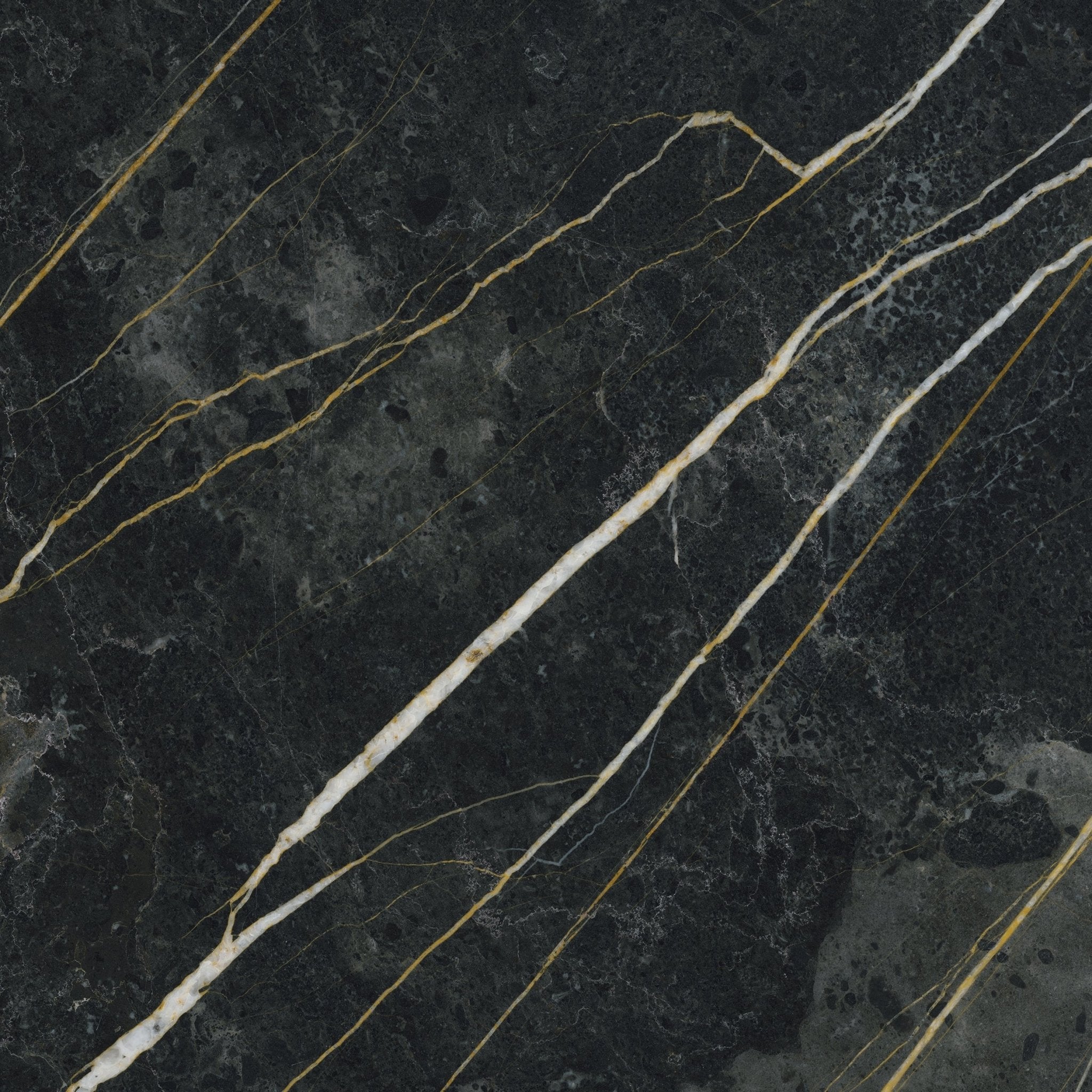 Wild Stone Black Forest 60X60 - Polished Porcelain - Tile&Bath
